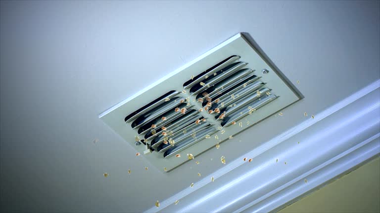 Best Affordable HVAC Duct Cleaning  in Bellport, NY