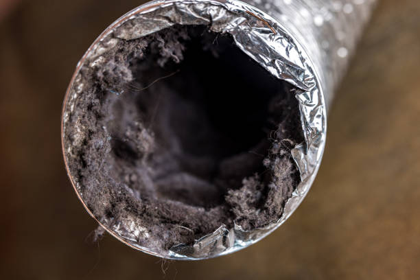 Best Local Air Duct Cleaning Services  in Bellport, NY